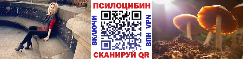 Псилоцибиновые грибы мицелий  Губкин 